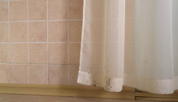 Best Dehumidification Services  in Brookings, SD