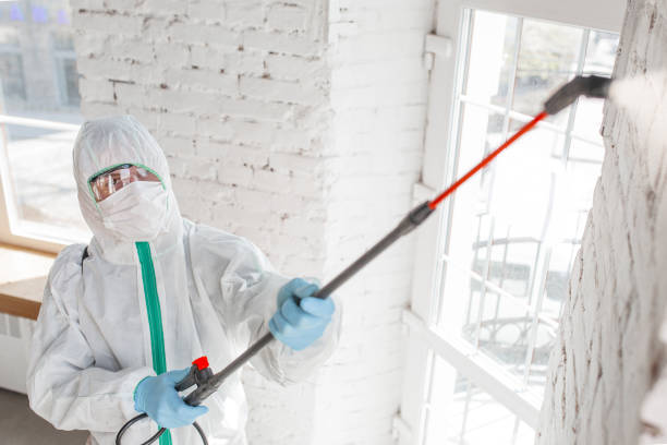 Best Mold Prevention Services  in Brookings, SD