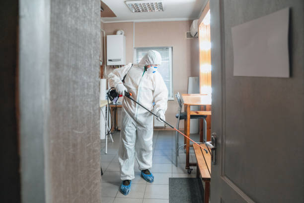 Best Black Mold Removal  in Brookings, SD