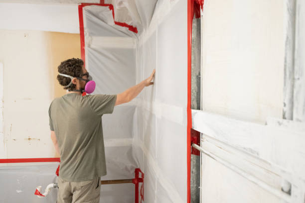 Best Comprehensive Air Testing for Mold Contaminants  in Brookings, SD