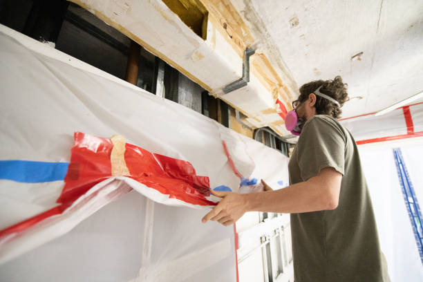Best Attic Mold Removal  in Brookings, SD