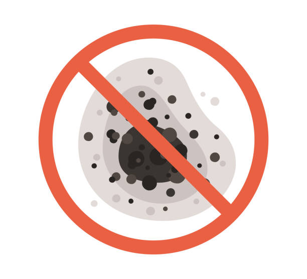 Best HVAC Mold Inspection and Cleaning  in Brookings, SD