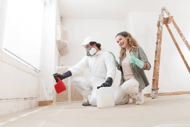 Best Industrial Mold Remediation  in Brookings, SD