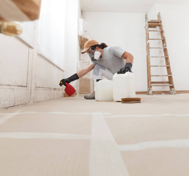Best Forensic Mold Investigation  in Brookings, SD