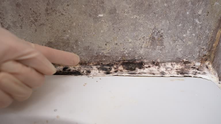 Best Air Quality Testing for Mold Spores  in Brookings, SD
