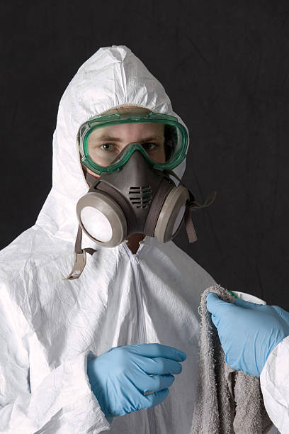 Best Crawl Space Mold Remediation  in Brookings, SD